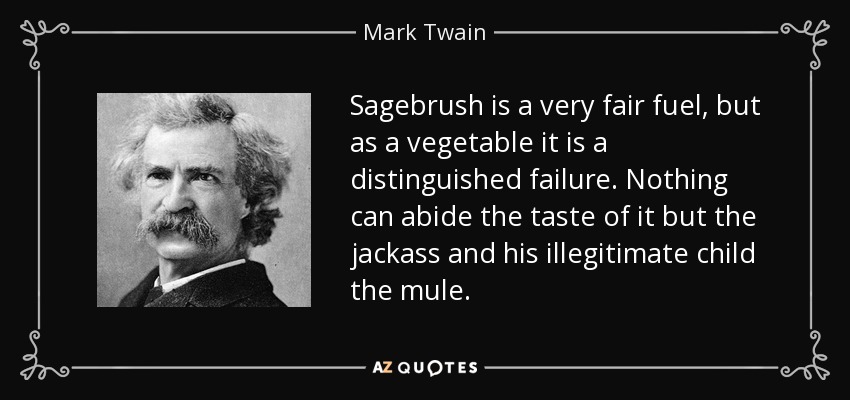 Sagebrush is a very fair fuel, but as a vegetable it is a distinguished failure. Nothing can abide the taste of it but the jackass and his illegitimate child the mule. - Mark Twain