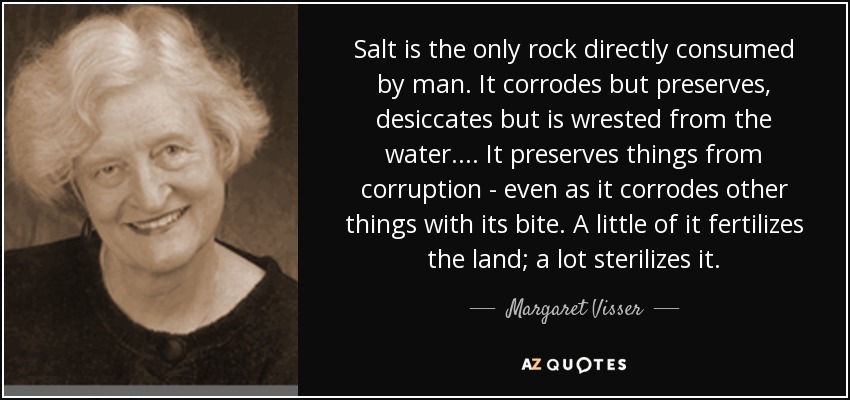 Salt is the only rock directly consumed by man. It corrodes but preserves, desiccates but is wrested from the water. ... It preserves things from corruption - even as it corrodes other things with its bite. A little of it fertilizes the land; a lot sterilizes it. - Margaret Visser