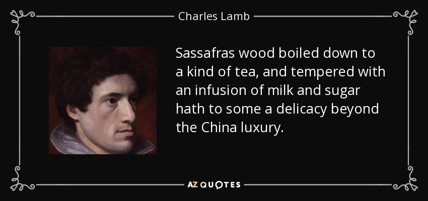 Sassafras wood boiled down to a kind of tea, and tempered with an infusion of milk and sugar hath to some a delicacy beyond the China luxury. - Charles Lamb