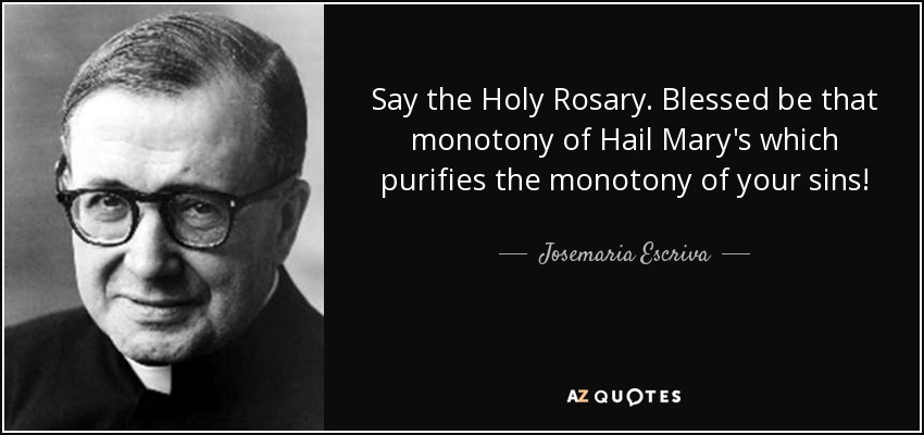 Say the Holy Rosary. Blessed be that monotony of Hail Mary's which purifies the monotony of your sins! - Josemaria Escriva