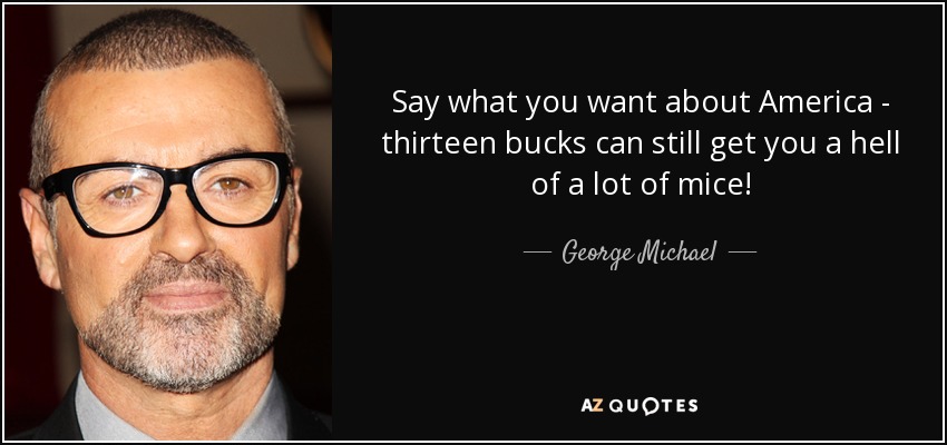Say what you want about America - thirteen bucks can still get you a hell of a lot of mice! - George Michael