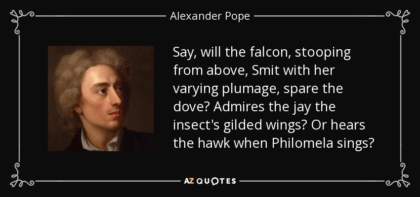 Say, will the falcon, stooping from above, Smit with her varying plumage, spare the dove? Admires the jay the insect's gilded wings? Or hears the hawk when Philomela sings? - Alexander Pope