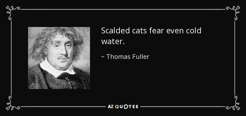 Scalded cats fear even cold water. - Thomas Fuller