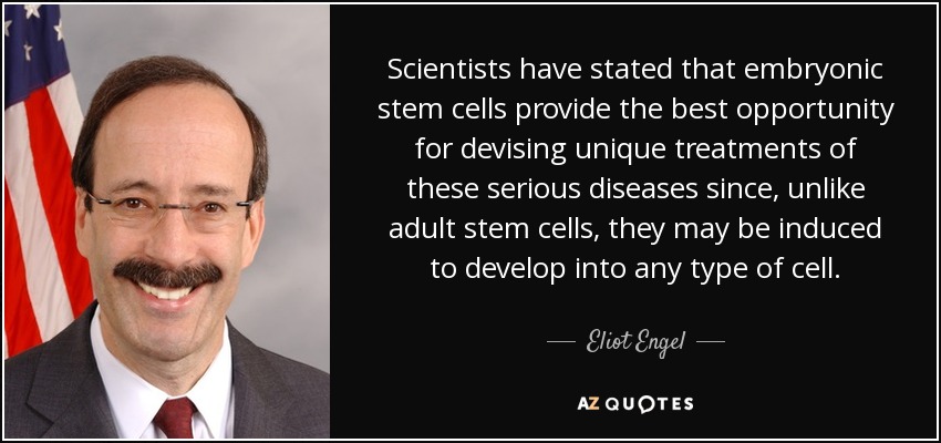 Scientists have stated that embryonic stem cells provide the best opportunity for devising unique treatments of these serious diseases since, unlike adult stem cells, they may be induced to develop into any type of cell. - Eliot Engel
