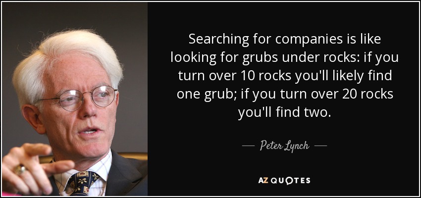 Searching for companies is like looking for grubs under rocks: if you turn over 10 rocks you'll likely find one grub; if you turn over 20 rocks you'll find two. - Peter Lynch