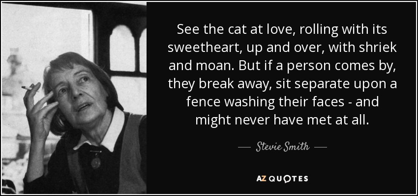 See the cat at love, rolling with its sweetheart, up and over, with shriek and moan. But if a person comes by, they break away, sit separate upon a fence washing their faces - and might never have met at all. - Stevie Smith