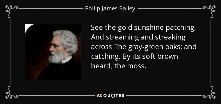 See the gold sunshine patching, And streaming and streaking across The gray-green oaks; and catching, By its soft brown beard, the moss. - Philip James Bailey