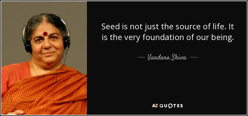 Seed is not just the source of life. It is the very foundation of our being. - Vandana Shiva