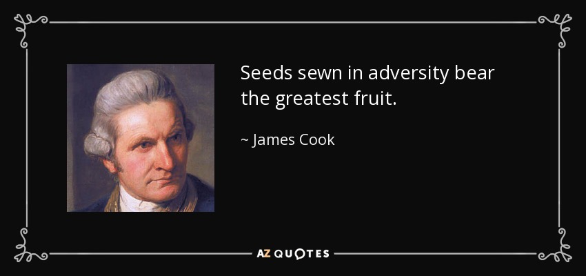 Seeds sewn in adversity bear the greatest fruit. - James Cook
