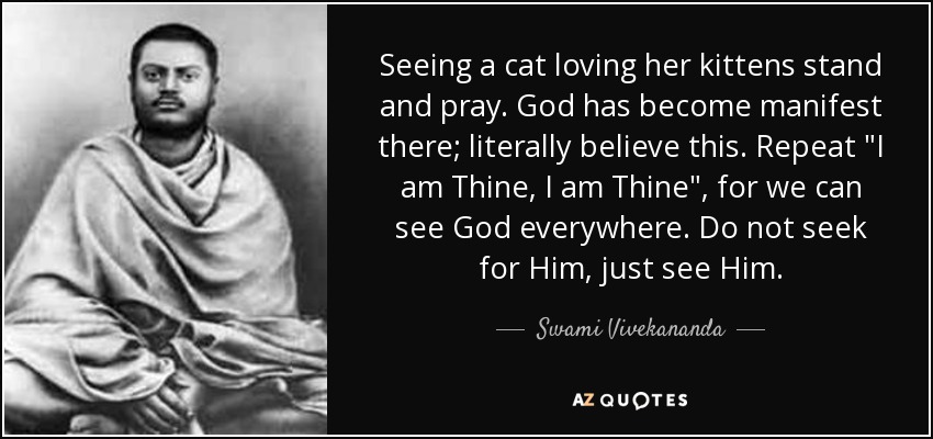 Seeing a cat loving her kittens stand and pray. God has become manifest there; literally believe this. Repeat 