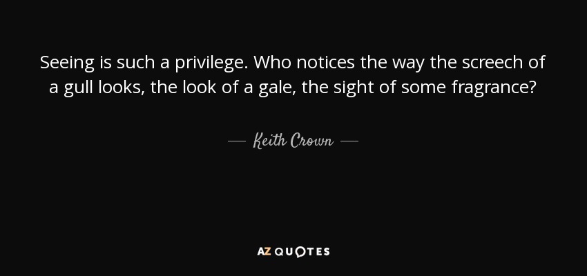 Seeing is such a privilege. Who notices the way the screech of a gull looks, the look of a gale, the sight of some fragrance? - Keith Crown