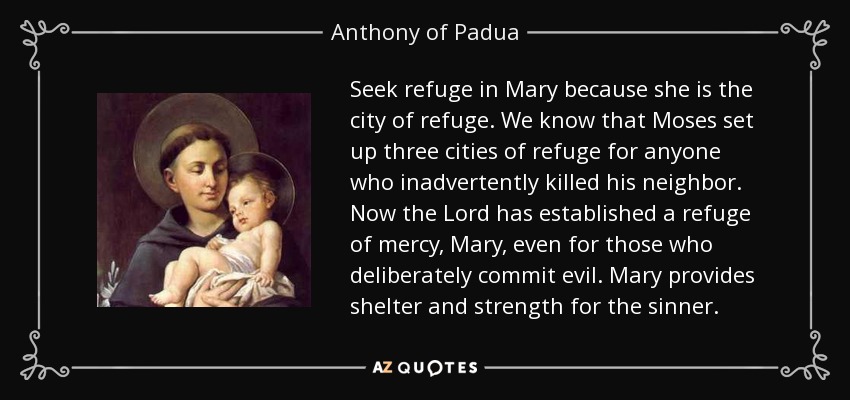 Seek refuge in Mary because she is the city of refuge. We know that Moses set up three cities of refuge for anyone who inadvertently killed his neighbor. Now the Lord has established a refuge of mercy, Mary, even for those who deliberately commit evil. Mary provides shelter and strength for the sinner. - Anthony of Padua