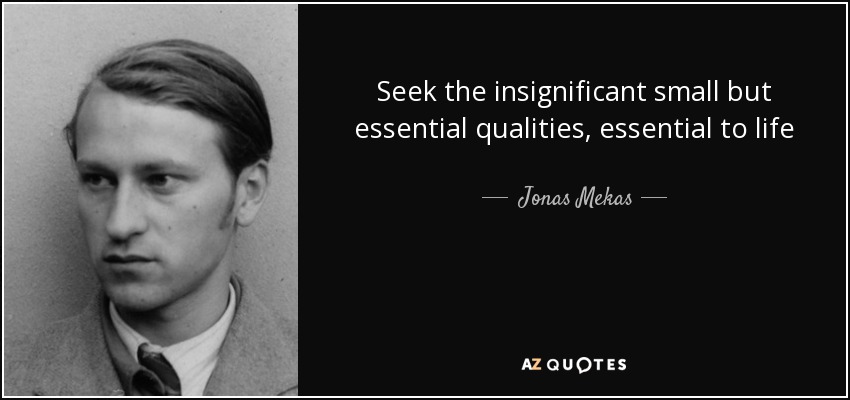 Seek the insignificant small but essential qualities, essential to life - Jonas Mekas