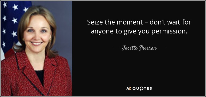 Seize the moment – don’t wait for anyone to give you permission. - Josette Sheeran