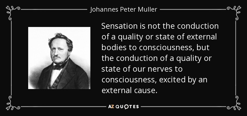 Sensation is not the conduction of a quality or state of external bodies to consciousness, but the conduction of a quality or state of our nerves to consciousness, excited by an external cause. - Johannes Peter Muller