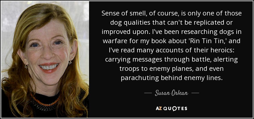 Sense of smell, of course, is only one of those dog qualities that can't be replicated or improved upon. I've been researching dogs in warfare for my book about 'Rin Tin Tin,' and I've read many accounts of their heroics: carrying messages through battle, alerting troops to enemy planes, and even parachuting behind enemy lines. - Susan Orlean