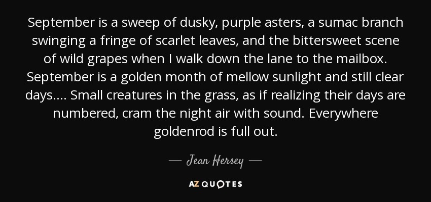 September is a sweep of dusky, purple asters, a sumac branch swinging a fringe of scarlet leaves, and the bittersweet scene of wild grapes when I walk down the lane to the mailbox. September is a golden month of mellow sunlight and still clear days. ... Small creatures in the grass, as if realizing their days are numbered, cram the night air with sound. Everywhere goldenrod is full out. - Jean Hersey