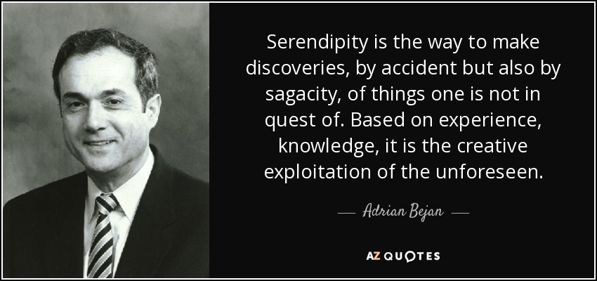 Serendipity is the way to make discoveries, by accident but also by sagacity, of things one is not in quest of. Based on experience, knowledge, it is the creative exploitation of the unforeseen. - Adrian Bejan