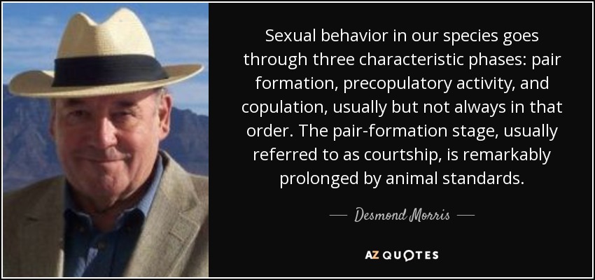 Sexual behavior in our species goes through three characteristic phases: pair formation, precopulatory activity, and copulation, usually but not always in that order. The pair-formation stage, usually referred to as courtship, is remarkably prolonged by animal standards. - Desmond Morris