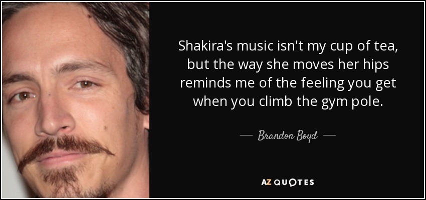 Shakira's music isn't my cup of tea, but the way she moves her hips reminds me of the feeling you get when you climb the gym pole. - Brandon Boyd