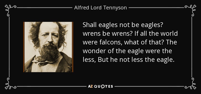 Shall eagles not be eagles? wrens be wrens? If all the world were falcons, what of that? The wonder of the eagle were the less, But he not less the eagle. - Alfred Lord Tennyson