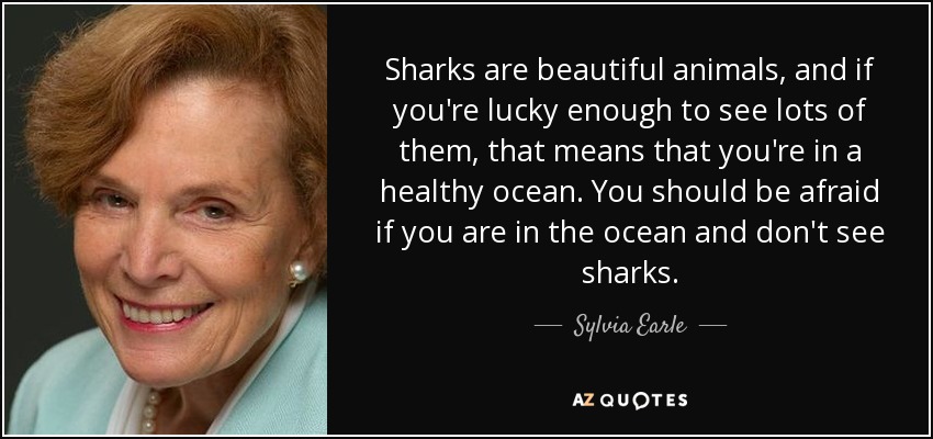 Sharks are beautiful animals, and if you're lucky enough to see lots of them, that means that you're in a healthy ocean. You should be afraid if you are in the ocean and don't see sharks. - Sylvia Earle