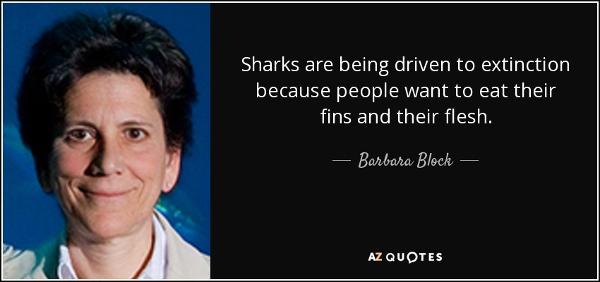 Sharks are being driven to extinction because people want to eat their fins and their flesh. - Barbara Block