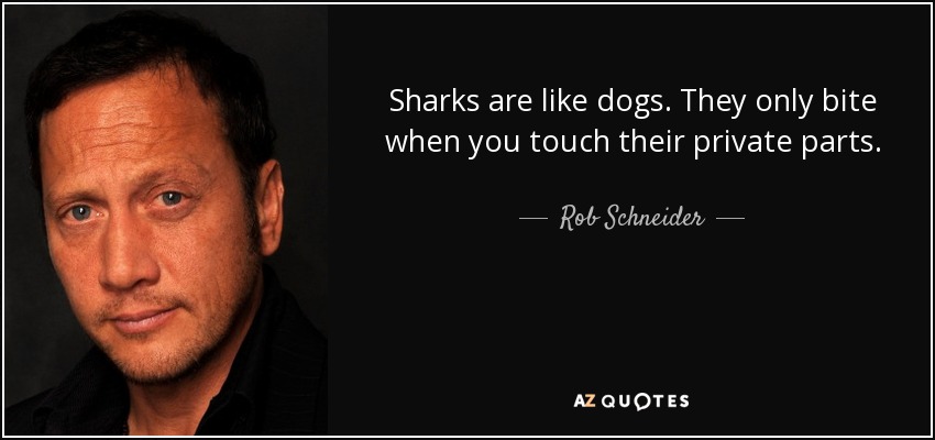 Sharks are like dogs. They only bite when you touch their private parts. - Rob Schneider