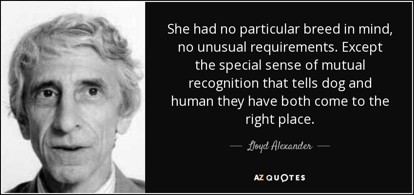 She had no particular breed in mind, no unusual requirements. Except the special sense of mutual recognition that tells dog and human they have both come to the right place. - Lloyd Alexander