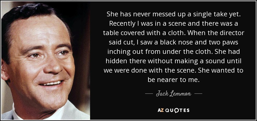 She has never messed up a single take yet. Recently I was in a scene and there was a table covered with a cloth. When the director said cut, I saw a black nose and two paws inching out from under the cloth. She had hidden there without making a sound until we were done with the scene. She wanted to be nearer to me. - Jack Lemmon