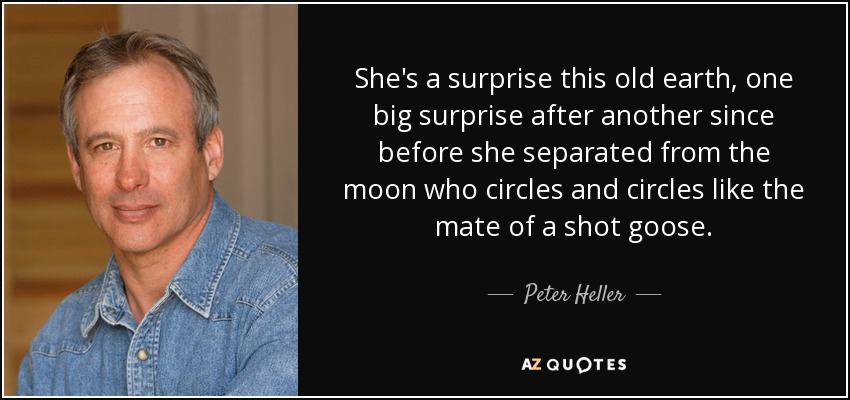 She's a surprise this old earth, one big surprise after another since before she separated from the moon who circles and circles like the mate of a shot goose. - Peter Heller