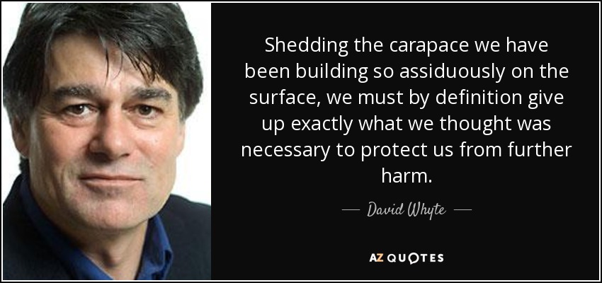 Shedding the carapace we have been building so assiduously on the surface, we must by definition give up exactly what we thought was necessary to protect us from further harm. - David Whyte