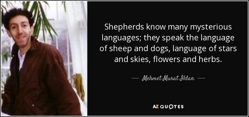 Shepherds know many mysterious languages; they speak the language of sheep and dogs, language of stars and skies, flowers and herbs. - Mehmet Murat Ildan