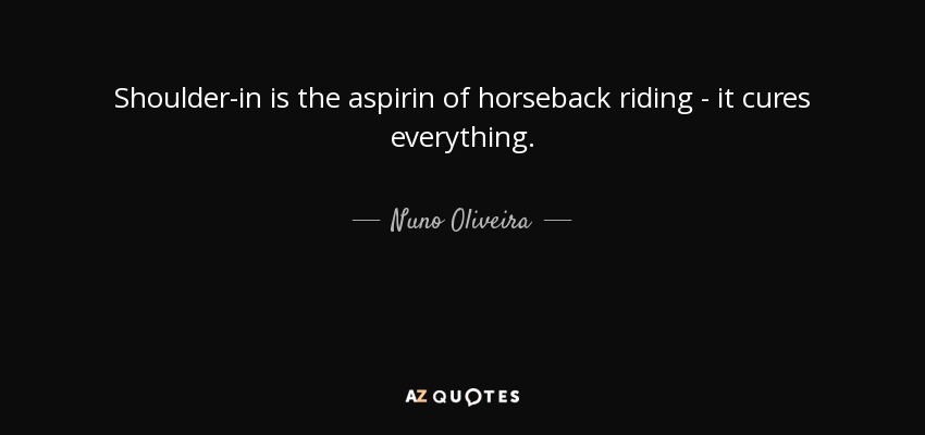Shoulder-in is the aspirin of horseback riding - it cures everything. - Nuno Oliveira
