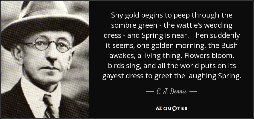 Shy gold begins to peep through the sombre green - the wattle's wedding dress - and Spring is near. Then suddenly it seems, one golden morning, the Bush awakes, a living thing. Flowers bloom, birds sing, and all the world puts on its gayest dress to greet the laughing Spring. - C. J. Dennis
