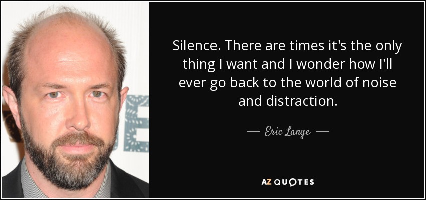 Silence. There are times it's the only thing I want and I wonder how I'll ever go back to the world of noise and distraction. - Eric Lange