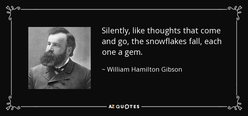 Silently, like thoughts that come and go, the snowflakes fall, each one a gem. - William Hamilton Gibson