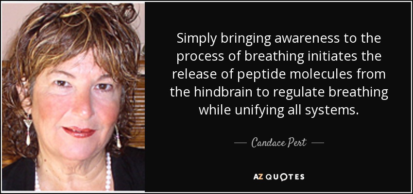 Simply bringing awareness to the process of breathing initiates the release of peptide molecules from the hindbrain to regulate breathing while unifying all systems. - Candace Pert