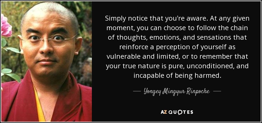 Simply notice that you're aware. At any given moment, you can choose to follow the chain of thoughts, emotions, and sensations that reinforce a perception of yourself as vulnerable and limited, or to remember that your true nature is pure, unconditioned, and incapable of being harmed. - Yongey Mingyur Rinpoche