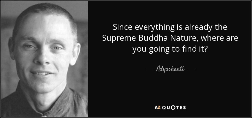 Since everything is already the Supreme Buddha Nature, where are you going to find it? - Adyashanti