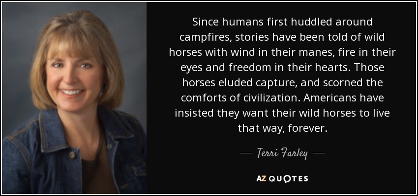 Since humans first huddled around campfires, stories have been told of wild horses with wind in their manes, fire in their eyes and freedom in their hearts. Those horses eluded capture, and scorned the comforts of civilization. Americans have insisted they want their wild horses to live that way, forever. - Terri Farley