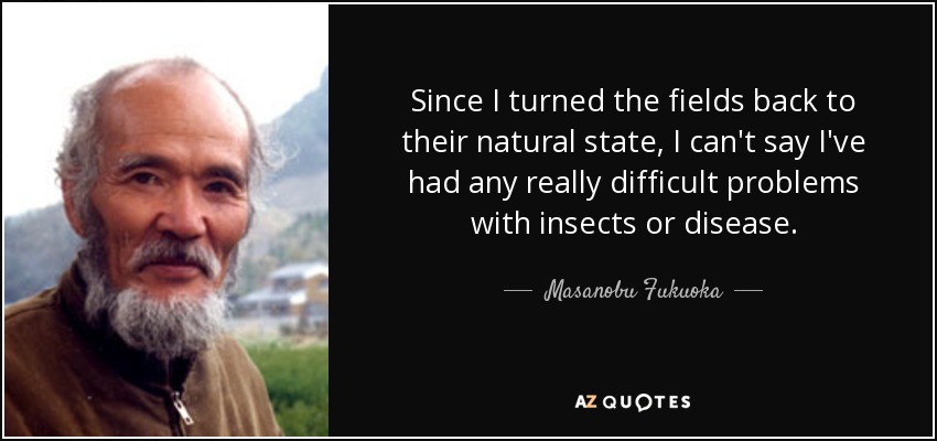 Since I turned the fields back to their natural state, I can't say I've had any really difficult problems with insects or disease. - Masanobu Fukuoka