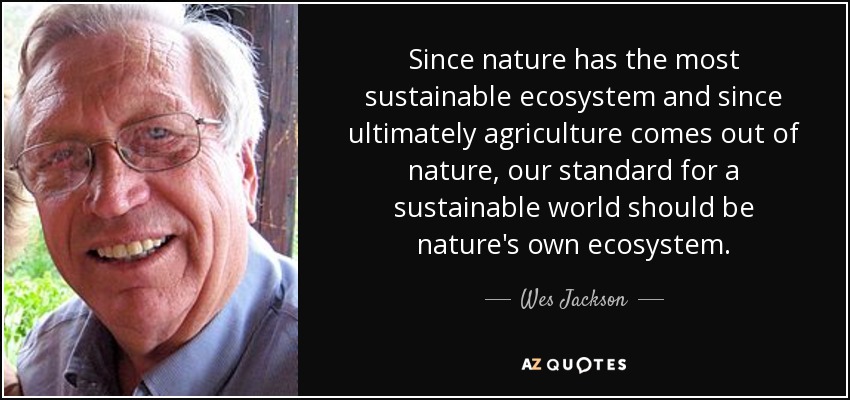 Since nature has the most sustainable ecosystem and since ultimately agriculture comes out of nature, our standard for a sustainable world should be nature's own ecosystem. - Wes Jackson