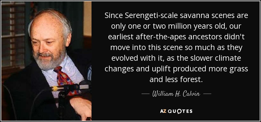 Since Serengeti-scale savanna scenes are only one or two million years old, our earliest after-the-apes ancestors didn't move into this scene so much as they evolved with it, as the slower climate changes and uplift produced more grass and less forest. - William H. Calvin