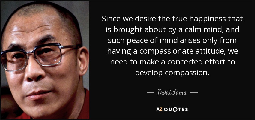 Since we desire the true happiness that is brought about by a calm mind, and such peace of mind arises only from having a compassionate attitude, we need to make a concerted effort to develop compassion. - Dalai Lama