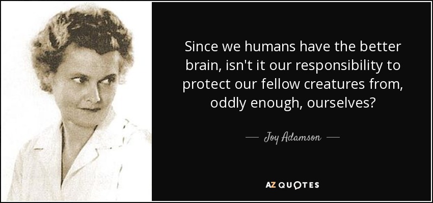 Since we humans have the better brain, isn't it our responsibility to protect our fellow creatures from, oddly enough, ourselves? - Joy Adamson