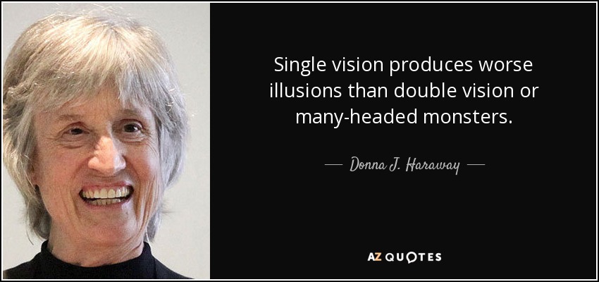 Single vision produces worse illusions than double vision or many-headed monsters. - Donna J. Haraway