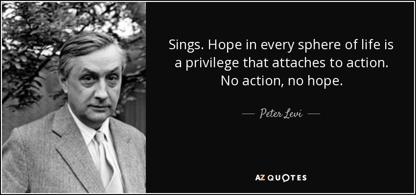 Sings. Hope in every sphere of life is a privilege that attaches to action. No action, no hope. - Peter Levi