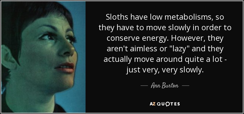 Sloths have low metabolisms, so they have to move slowly in order to conserve energy. However, they aren't aimless or 