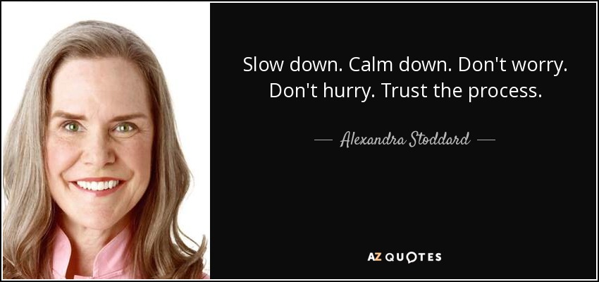 Slow down. Calm down. Don't worry. Don't hurry. Trust the process. - Alexandra Stoddard